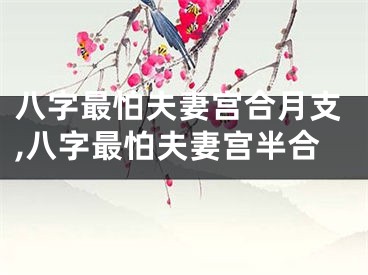 八字最怕夫妻宫合月支,八字最怕夫妻宫半合