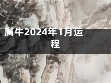 属牛2024年1月运程
