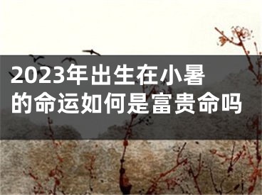 2023年出生在小暑的命运如何是富贵命吗