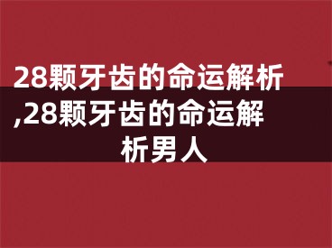 28颗牙齿的命运解析,28颗牙齿的命运解析男人