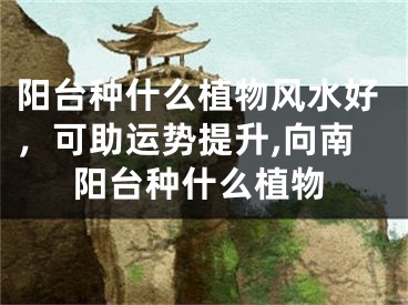阳台种什么植物风水好，可助运势提升,向南阳台种什么植物