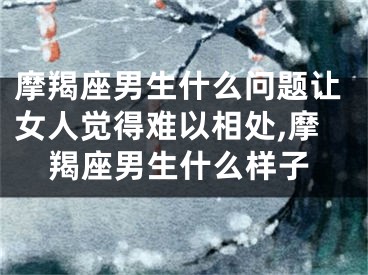摩羯座男生什么问题让女人觉得难以相处,摩羯座男生什么样子