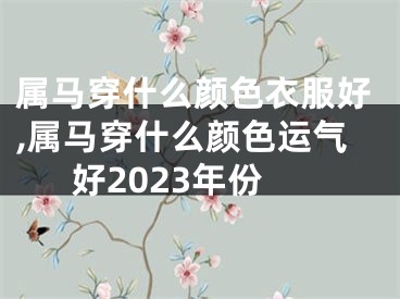 属马穿什么颜色衣服好,属马穿什么颜色运气好2023年份