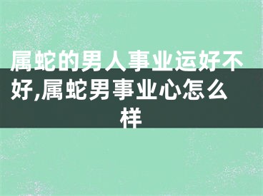 属蛇的男人事业运好不好,属蛇男事业心怎么样