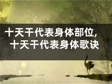 十天干代表身体部位,十天干代表身体歌诀