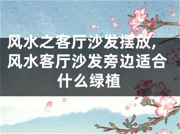 风水之客厅沙发摆放,风水客厅沙发旁边适合什么绿植