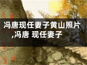 冯唐现任妻子黄山照片,冯唐