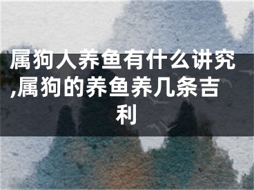 属狗人养鱼有什么讲究,属狗的养鱼养几条吉利