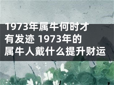 1973年属牛何时才有发迹 1973年的属牛人戴什么提升财运