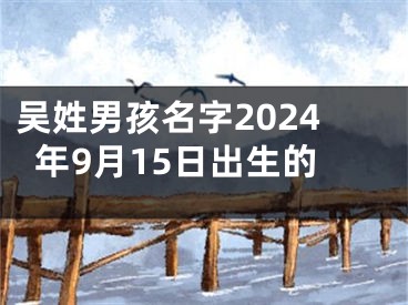 吴姓男孩名字2024年9月15日出生的