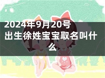 2024年9月20号出生徐姓宝宝取名叫什么