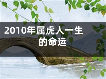 2010年属虎人一生的命运