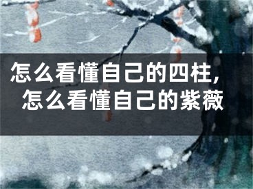 怎么看懂自己的四柱,怎么看懂自己的紫薇
