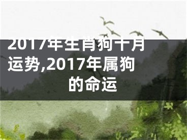 2017年生肖狗十月运势,2017年属狗的命运