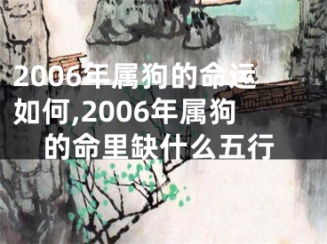 2006年属狗的命运如何,2006年属狗的命里缺什么五行