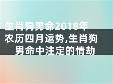 生肖狗男命2018年农历四月运势,生肖狗男命中注定的情劫