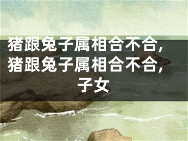 猪跟兔子属相合不合,猪跟兔子属相合不合,子女