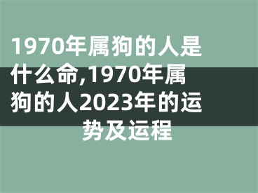 1970年属狗的人是什么命,1970年属狗的人2023年的运势及运程