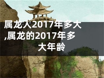 属龙人2017年多大,属龙的2017年多大年龄