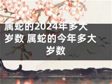 属蛇的2024年多大岁数 属蛇的今年多大岁数