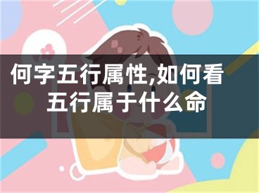 何字五行属性,如何看五行属于什么命