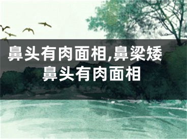 鼻头有肉面相,鼻梁矮鼻头有肉面相