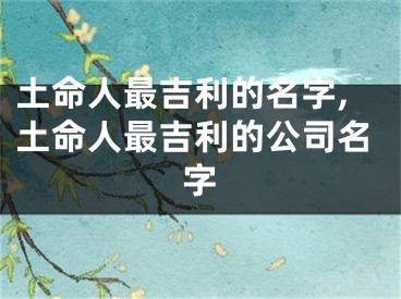 土命人最吉利的名字,土命人最吉利的公司名字