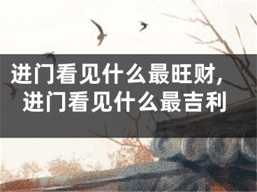 进门看见什么最旺财,进门看见什么最吉利