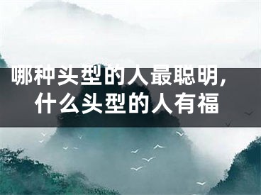 哪种头型的人最聪明,什么头型的人有福