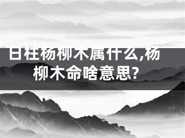 日柱杨柳木属什么,杨柳木命啥意思?