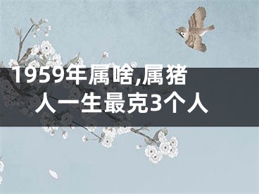 1959年属啥,属猪人一生最克3个人