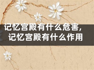 记忆宫殿有什么危害,记忆宫殿有什么作用