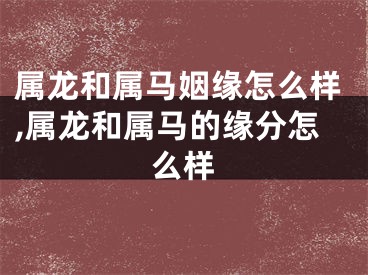 属龙和属马姻缘怎么样,属龙和属马的缘分怎么样