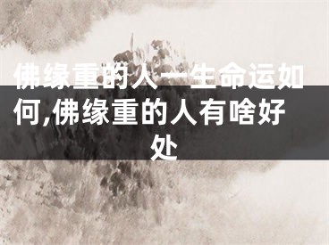 佛缘重的人一生命运如何,佛缘重的人有啥好处