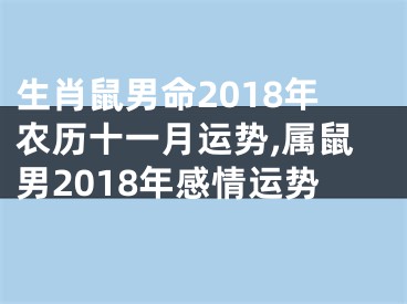 生肖鼠男命2018年农历十一月运势,属鼠男2018年感情运势