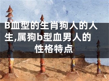 B血型的生肖狗人的人生,属狗b型血男人的性格特点
