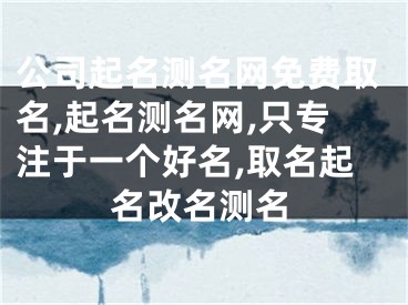 公司起名测名网免费取名,起名测名网,只专注于一个好名,取名起名改名测名
