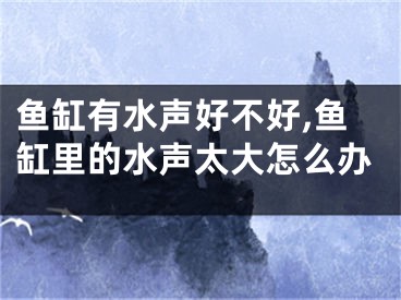 鱼缸有水声好不好,鱼缸里的水声太大怎么办