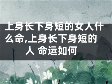 上身长下身短的女人什么命,上身长下身短的人 命运如何