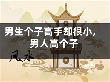 男生个子高手却很小,男人高个子