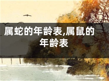 属蛇的年龄表,属鼠的年龄表