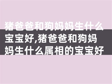 猪爸爸和狗妈妈生什么宝宝好,猪爸爸和狗妈妈生什么属相的宝宝好