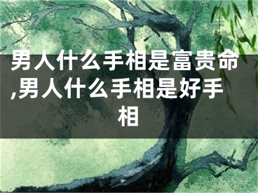 男人什么手相是富贵命,男人什么手相是好手相