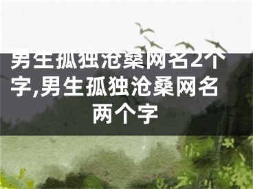 男生孤独沧桑网名2个字,男生孤独沧桑网名两个字