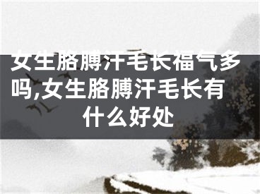女生胳膊汗毛长福气多吗,女生胳膊汗毛长有什么好处