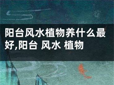 阳台风水植物养什么最好,阳台 风水 植物