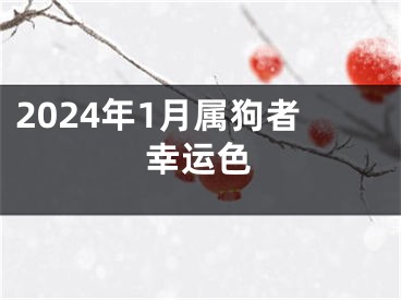 2024年1月属狗者幸运色