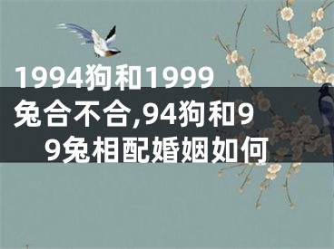 1994狗和1999兔合不合,94狗和99兔相配婚姻如何