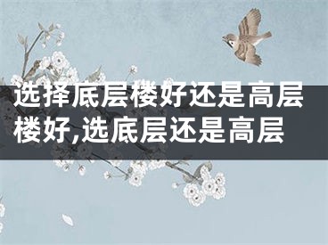 选择底层楼好还是高层楼好,选底层还是高层