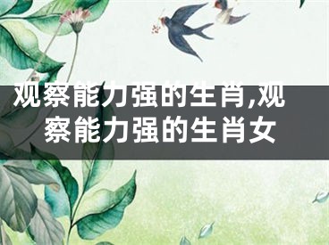 观察能力强的生肖,观察能力强的生肖女
